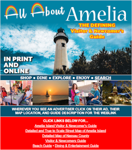 All About Amelia AllAboutAmelia.info